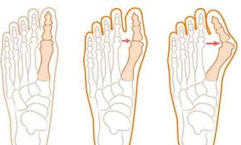 The development of feet